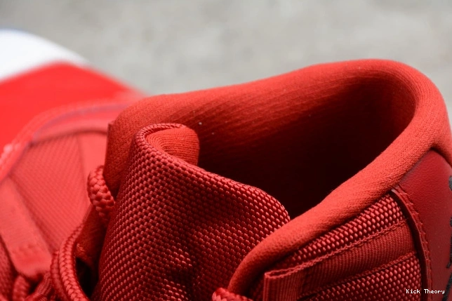 Kick Theory Jordan 378037-623 Red RetroGym Air 11 0715